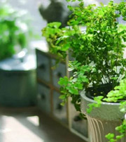 安徽专属于你的开运指南，助你鸿运当头福满身！