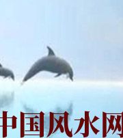 安徽做梦梦到这些，是要富裕的征兆！
